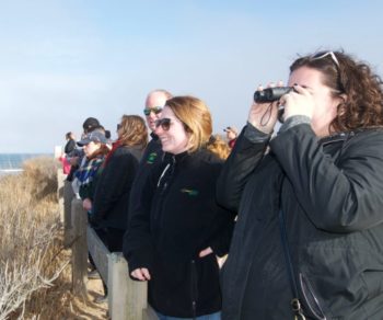 People looking for wildlife in the Peconic Estuary