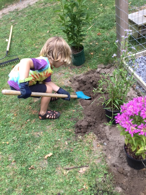 Children helping to plant a native garden.