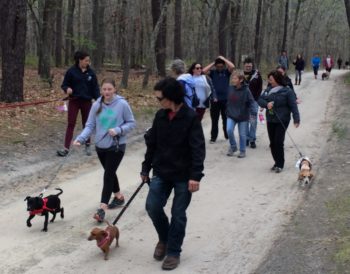 People enjoying the Fido-friendly hike at Indian Island County Park.