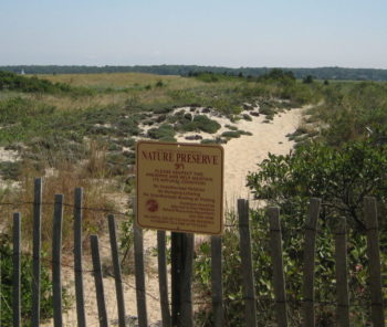 Nature Preserve sign with coastal grass and beach in background.