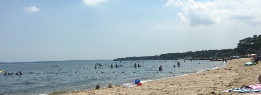 View of a beach and people swimming in the Peconic Estuary.