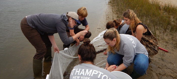People examining marine life caught in a seine net.