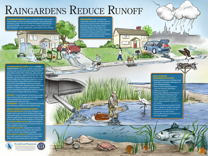 Rain Gardens reduce runoff informational sign.