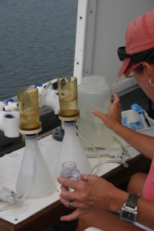 Suffolk County Department of Health Services staff taking water quality samples in the Peconic Estuary.