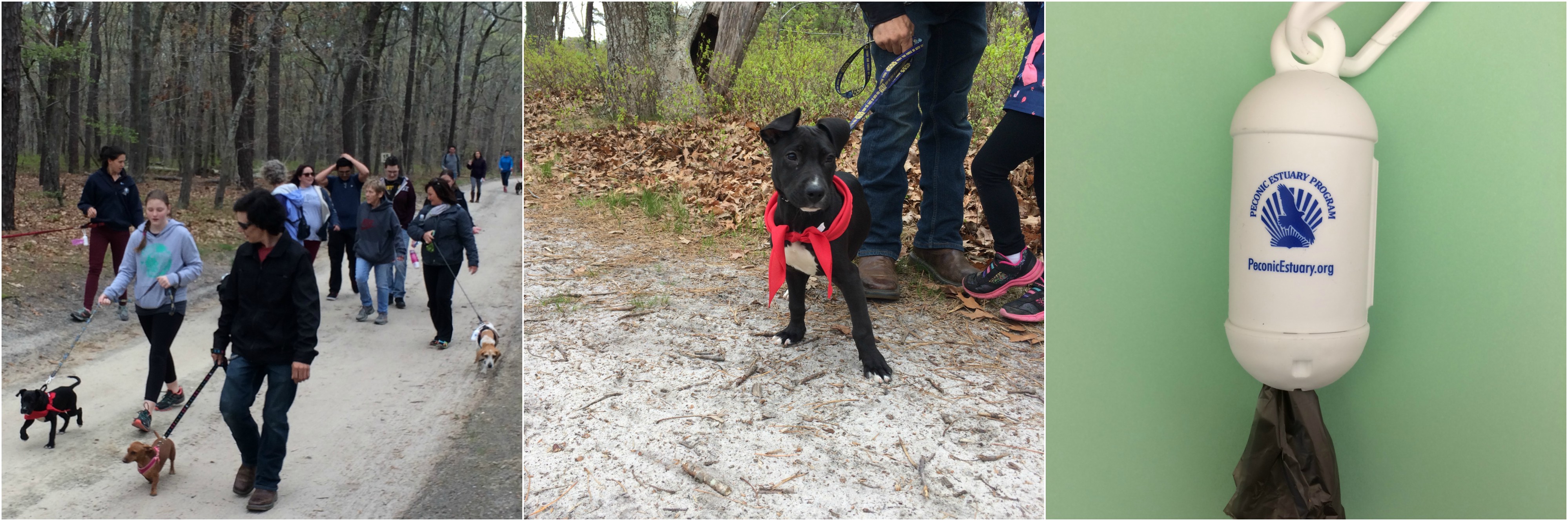 People and dogs enjoying a walk. Peconic Estuary Program pet waste bags.
