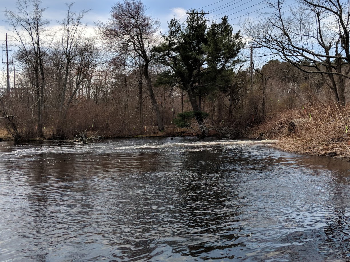 Upper Mills Dam, Peconic River Peconic Estuary Partnership