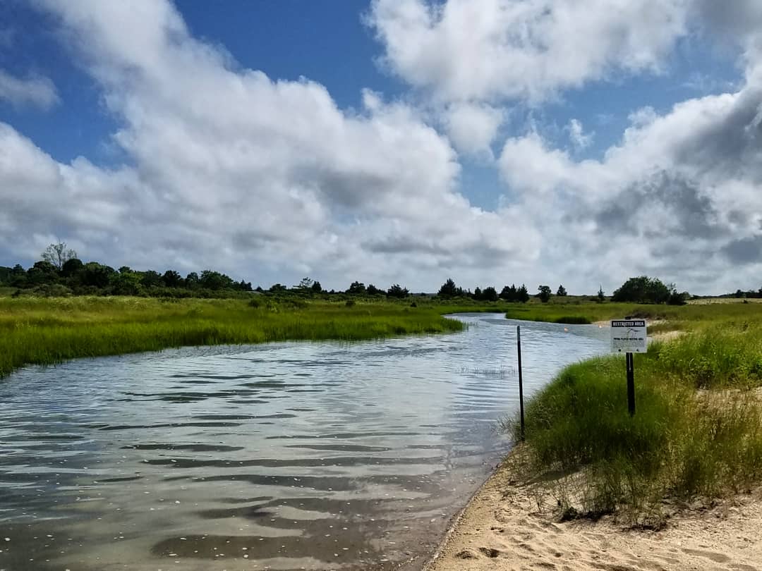 8 Reasons To Love Estuaries Peconic Estuary Partnership