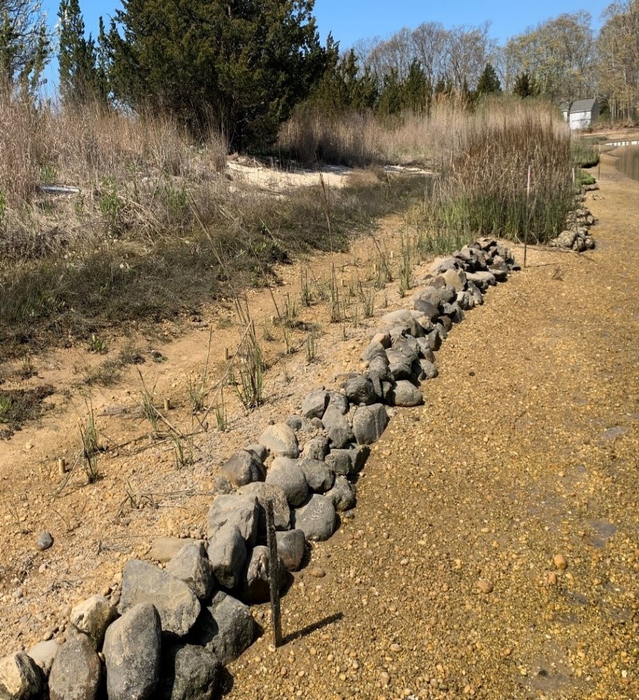 Demonstration Living Shoreline Project – Peconic Estuary Partnership
