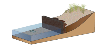 Graphic of hardened shoreline