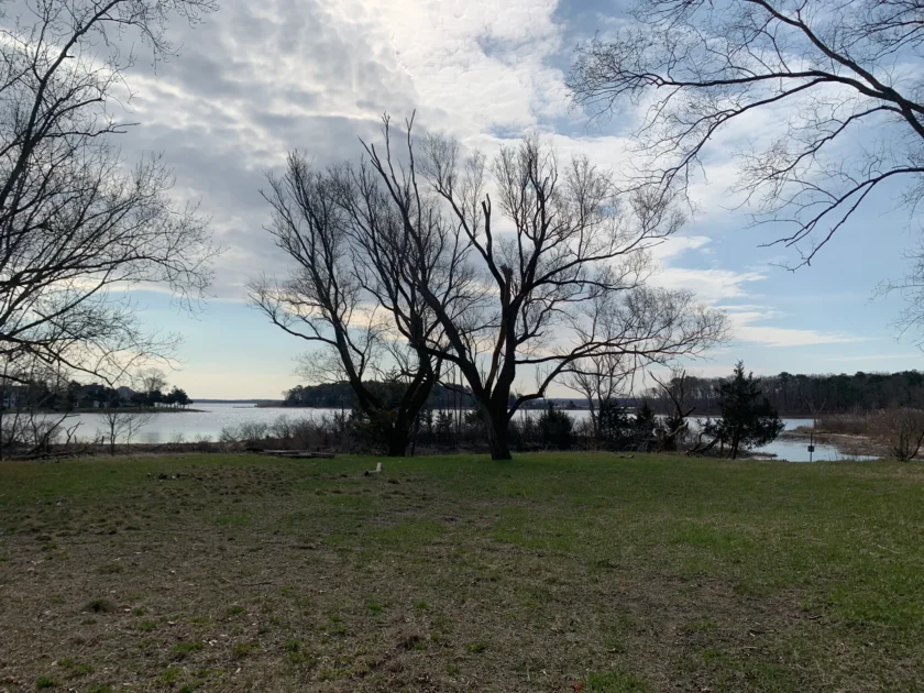 a photo at broad cove preserve apart of the peconic estuary